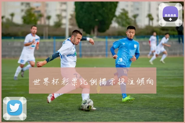 世界杯彩票比例揭示投注倾向