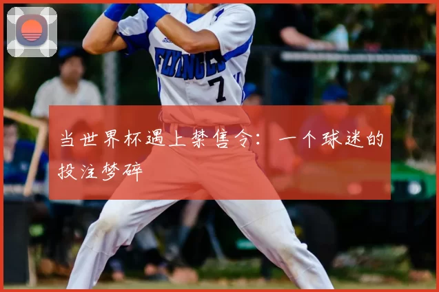 当世界杯遇上禁售令:一个球迷的投注梦碎