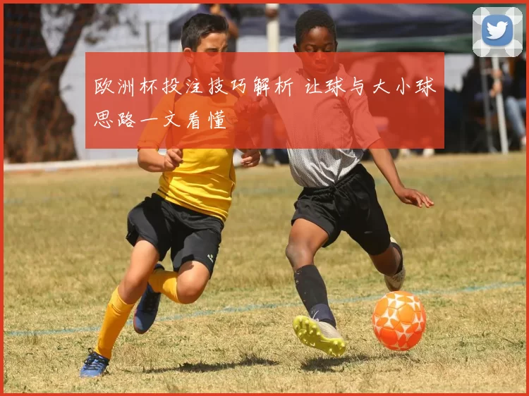欧洲杯投注技巧解析 让球与大小球思路一文看懂