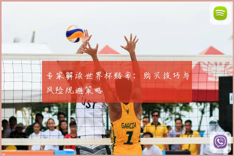 专家解读世界杯赔率：购买技巧与风险规避策略
