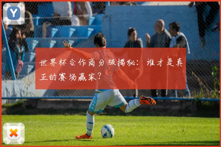 世界杯合作商分级揭秘:谁才是真正的赛场赢家?