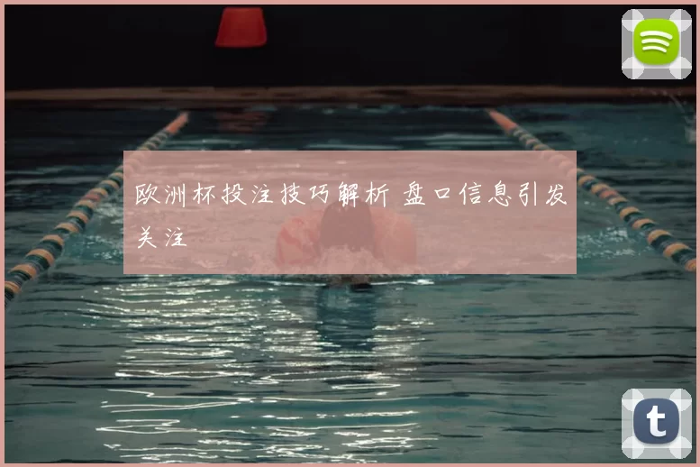 欧洲杯投注技巧解析 盘口信息引发关注