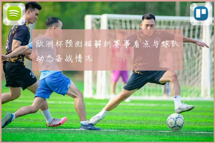 欧洲杯预测猫解析赛事看点与球队动态备战情况