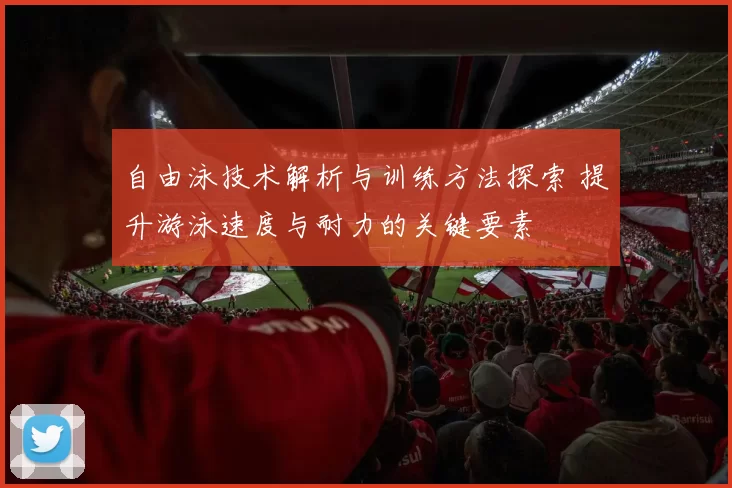 自由泳技术解析与训练方法探索 提升游泳速度与耐力的关键要素