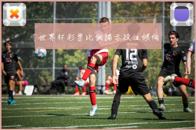 世界杯彩票比例揭示投注倾向