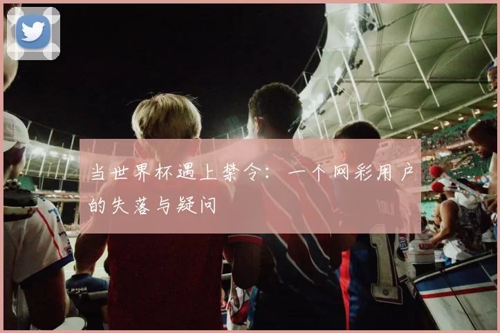 当世界杯遇上禁令:一个网彩用户的失落与疑问