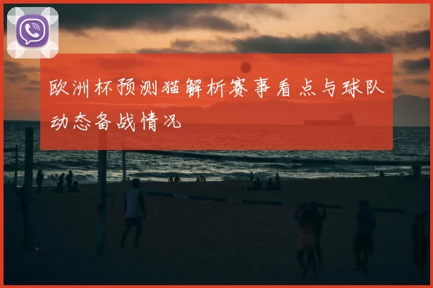 欧洲杯预测猫解析赛事看点与球队动态备战情况