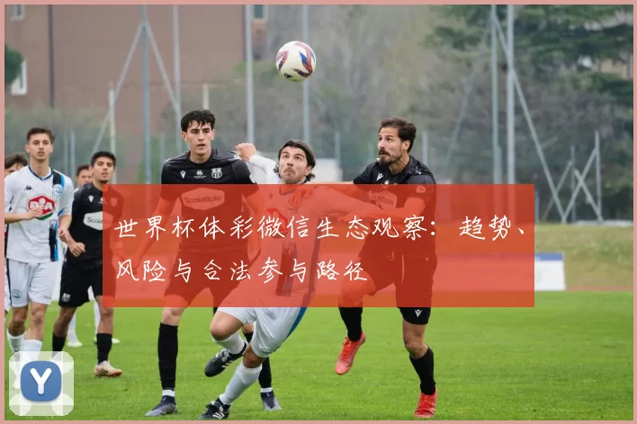 世界杯体彩微信生态观察：趋势、风险与合法参与路径
