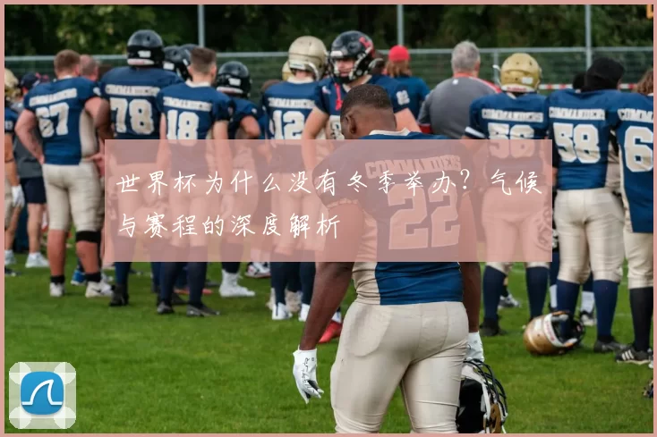 世界杯为什么没有冬季举办?气候与赛程的深度解析