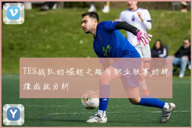 TES战队的崛起之路与职业联赛的辉煌成就分析