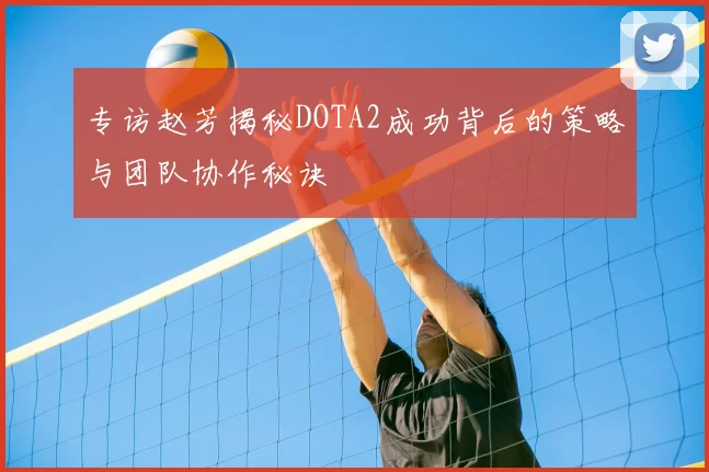 专访赵芳揭秘DOTA2成功背后的策略与团队协作秘诀
