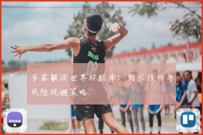 专家解读世界杯赔率：购买技巧与风险规避策略