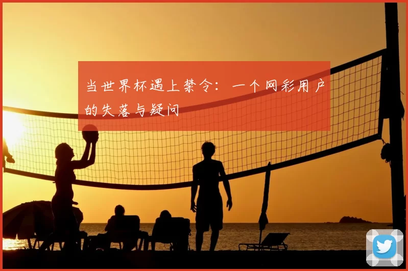 当世界杯遇上禁令：一个网彩用户的失落与疑问